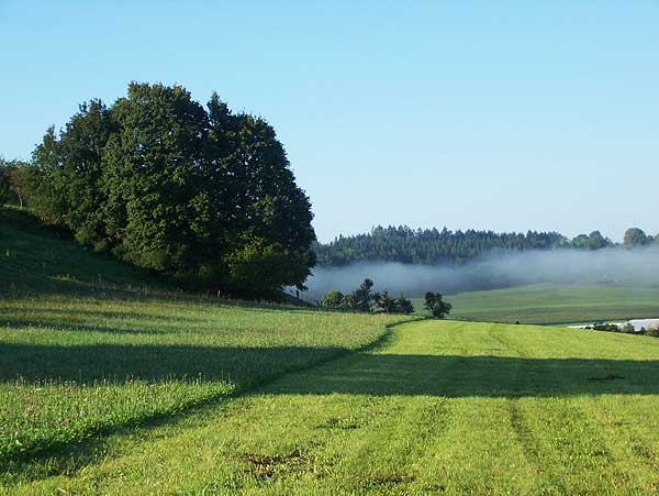 augustmorgen auf der schwäbischen alb wenn die morgennebel sich auflösen
