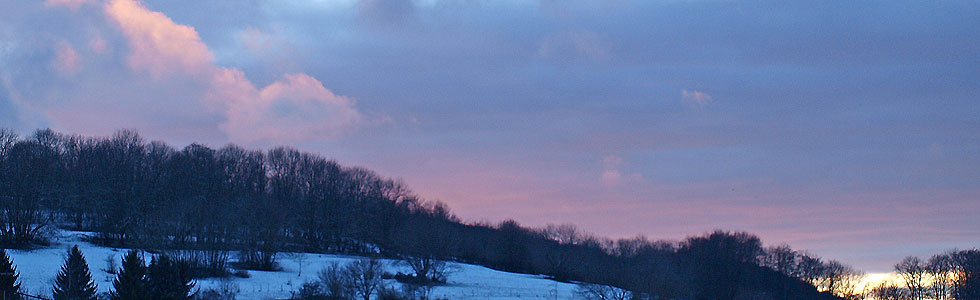Dagmar Hiller - Geistiges Heilen