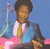 Muddy Waters