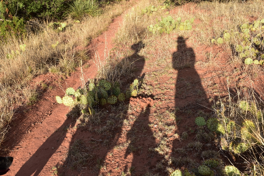 Lucky Luke der schneller zieht als sein Schatten 🤠😜