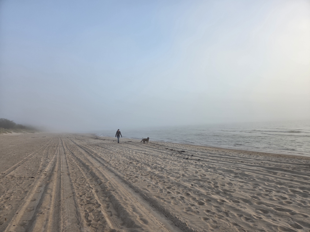 Am Abend kam der Nebel rein und es wurde am Meer Bitterkalt