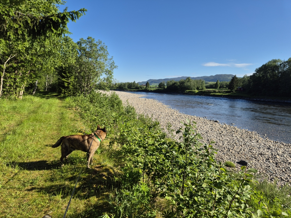 Der Fluss Gala