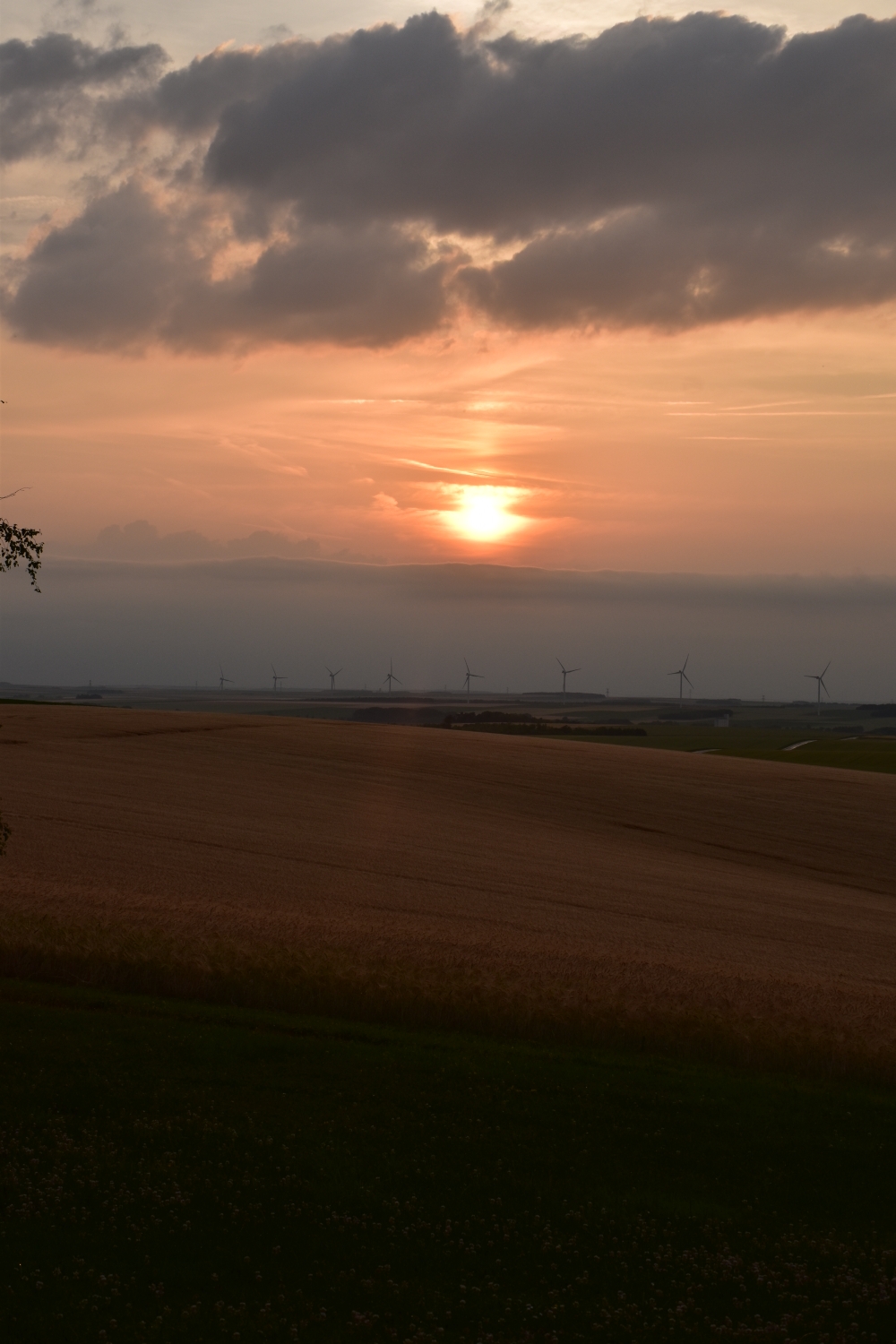 Gute Nacht!
