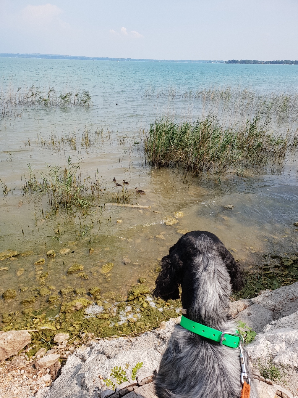 Zwischenhalt am Lago di Garda