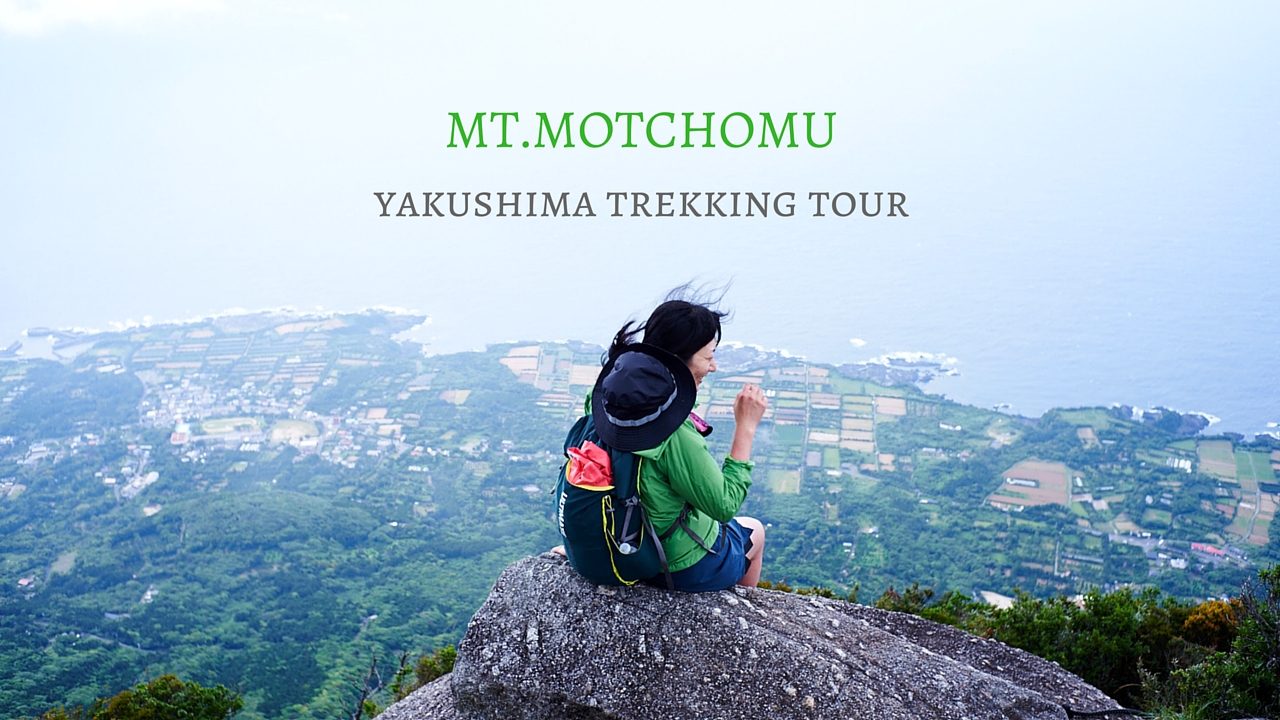 もっちょむ。 モッチョム岳ガイドツアー ～屋久島が誇る絶景へ～ - 巡り葉
