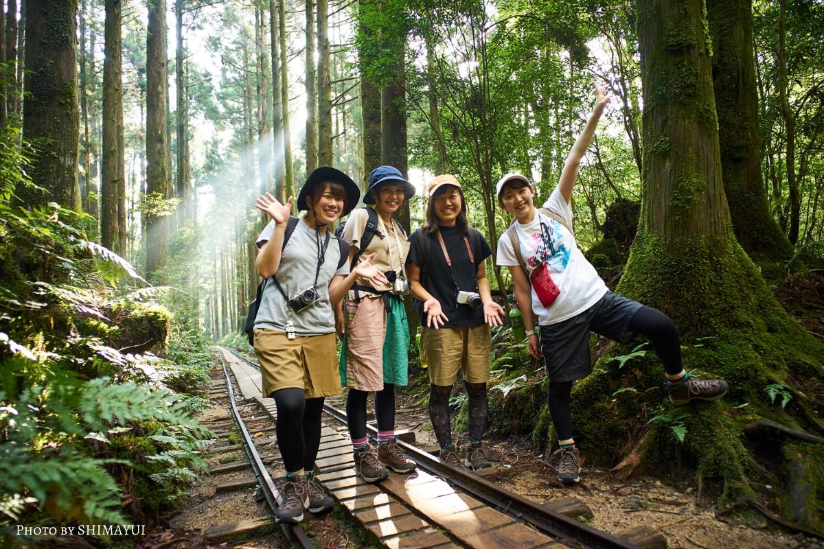 縄文杉ガイド付トレッキングツアー 貸切プランが人気 1名様から催行 島結 Shimayui