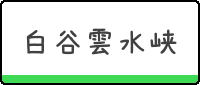 屋久島,白谷雲水峡,ガイド,ツアー