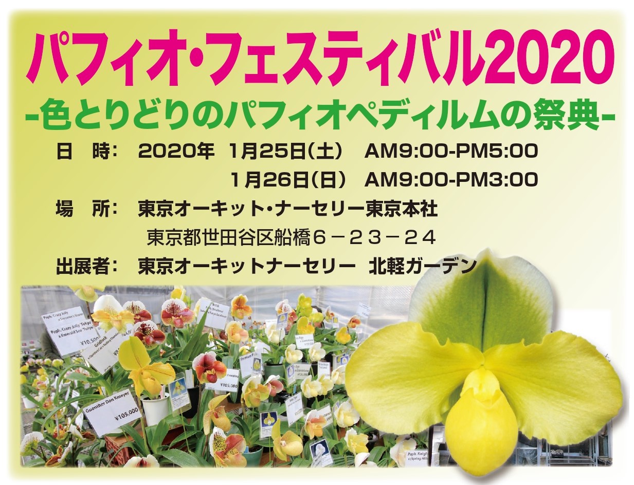 パフィオフェスティバルを開催します 株 東京オーキット ナーセリー