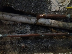 Wasserleitung durch Abfluss verlegt.  Folge: Wasser und Schimmelschaden