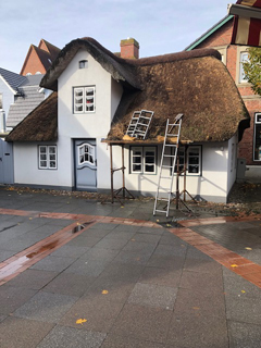 Wir haben auch Erfahrung mit Schäden und Mängel bei Reeteindeckungen