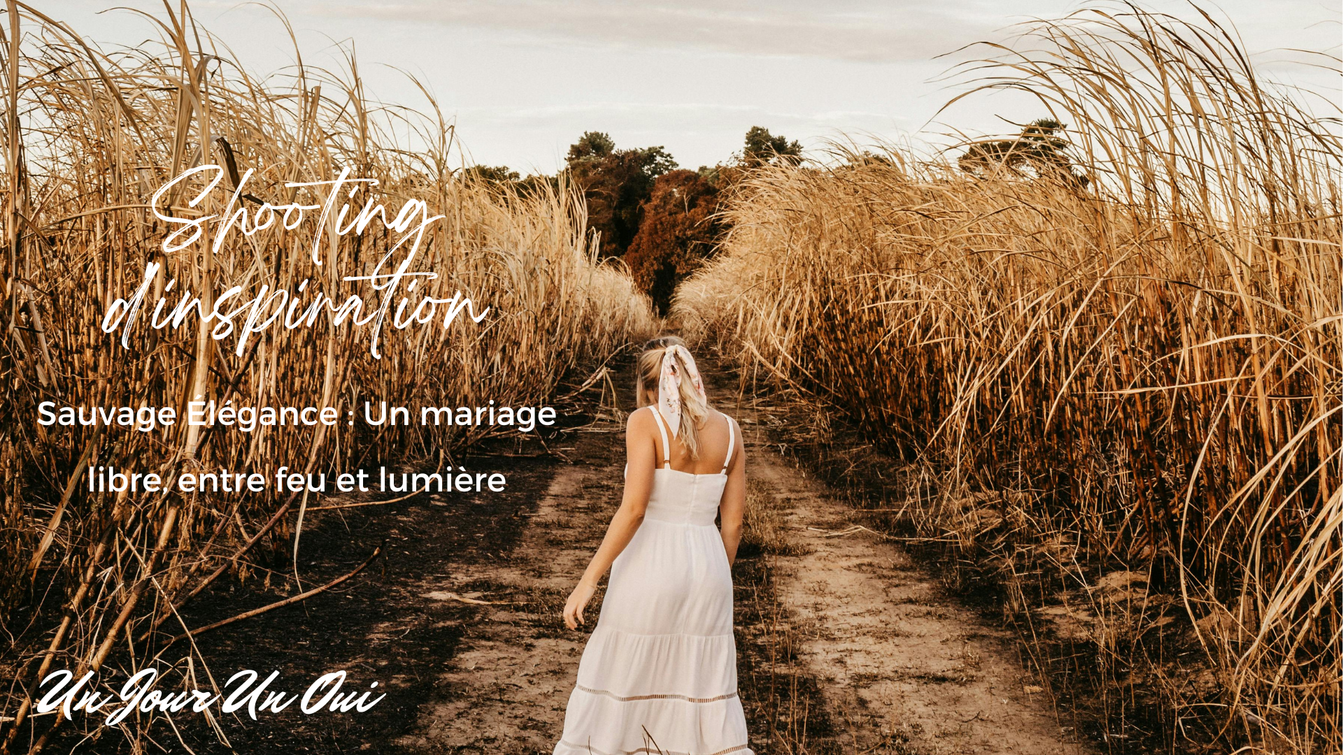 Sauvage Élégance : Un mariage libre, entre feu et lumière - Crédit photo : Jonathan Borba