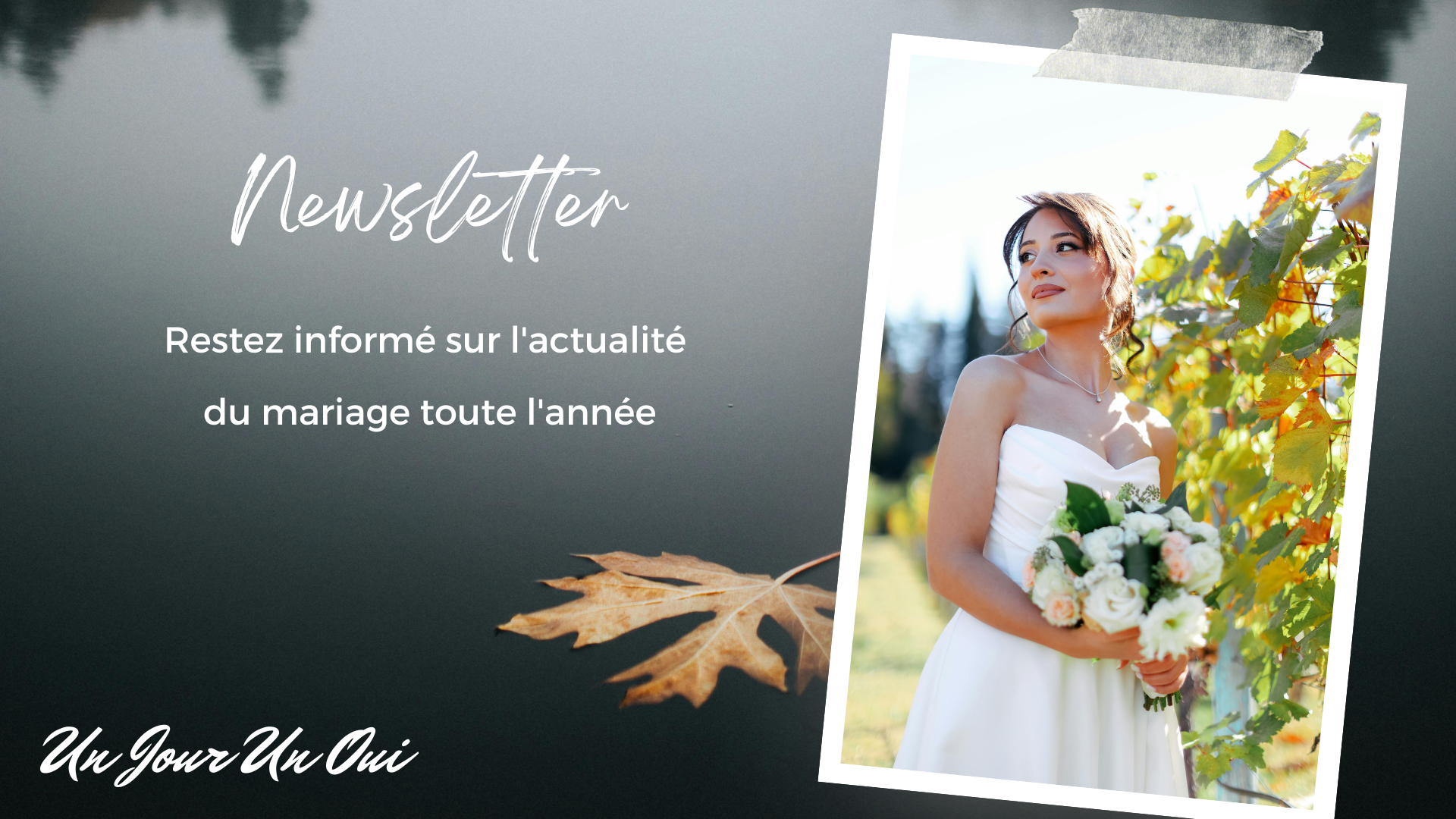 Newsletter Un Jour Un Oui - Crédit photo Tous droits réservés