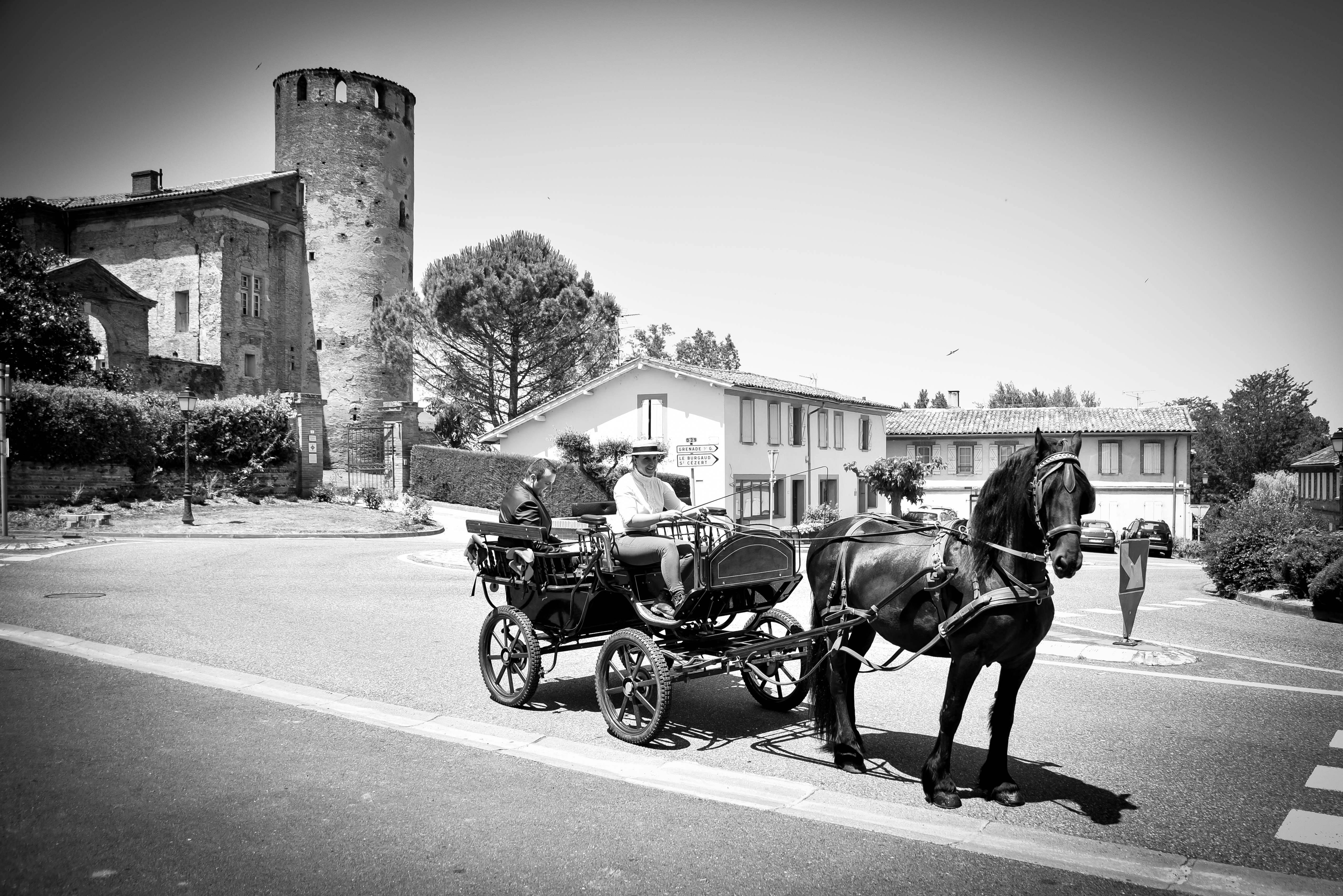 Les Ecuries d'En Cayla - Une calèche pour transporter les Mariés - © Tous droits réservés