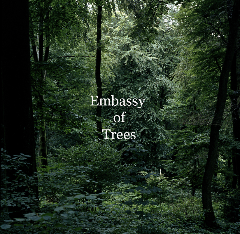 "Embassy of Trees" ©Ellen Bornkessel