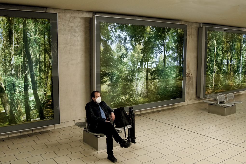 "Forest Dream" - Klimakunst, Fotoinstallation, Neumarkt, Köln von Ellen Bornkessel, Installationsfoto: Ellen Bornkessel
