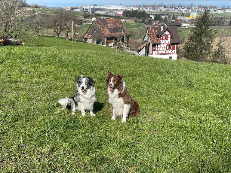 Ausflug in die Schweiz