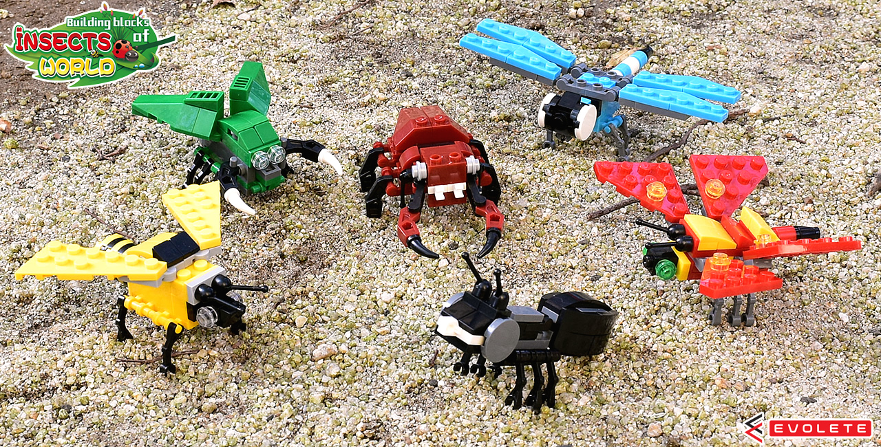 Insects World Evolete Worldwide Distributor Of Fun Innovative Creative Items