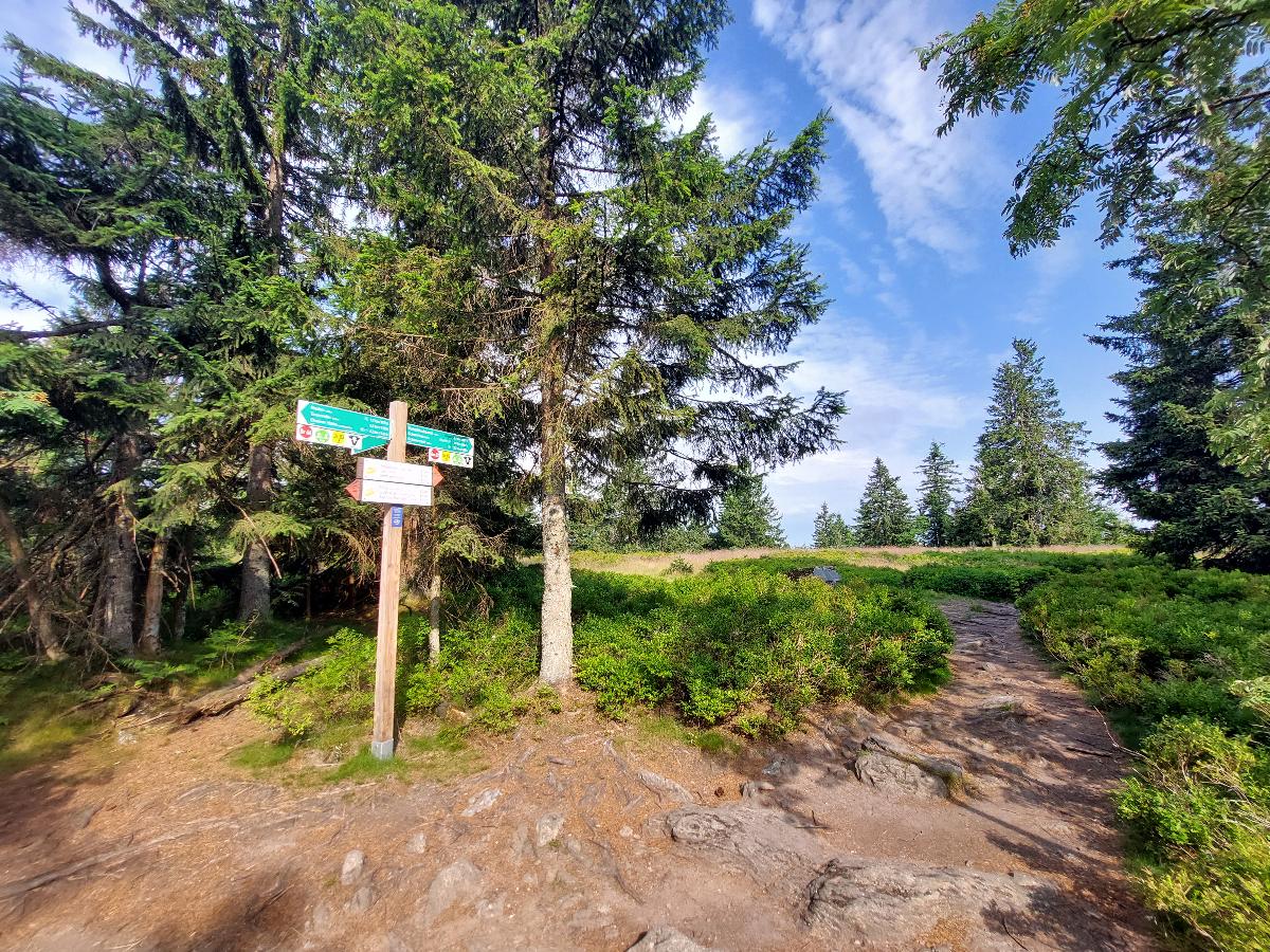 Unterwegs mit den Zellertaler Wanderführern