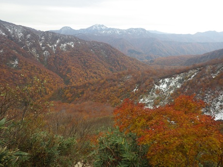 タイミングが合えば、雪と紅葉の三段モミジが見られます！