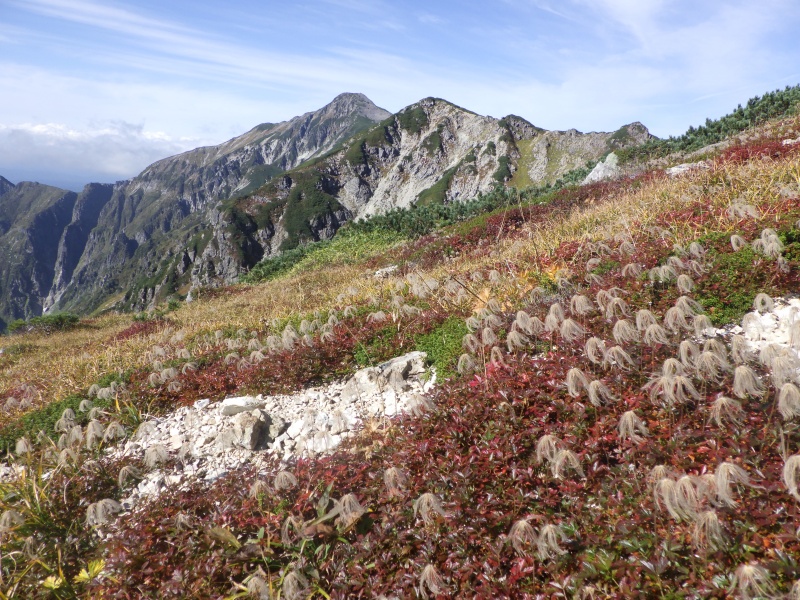 笠ヶ岳　稜線の紅葉、始まりました