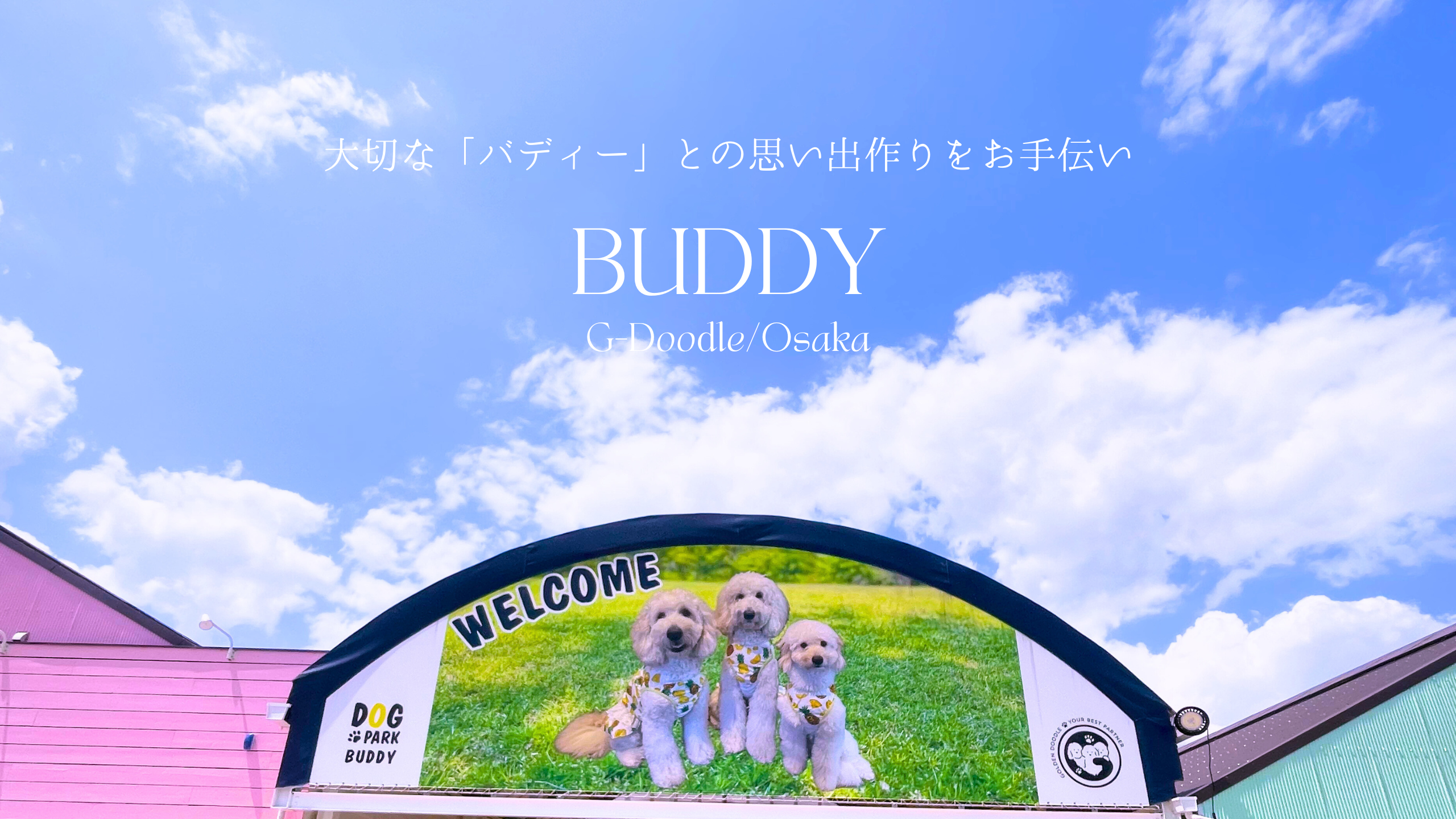 アクセス - BUDDY G-Doodle/osaka