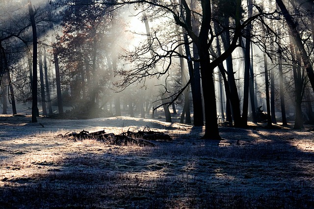 Quelle: pixabay.com