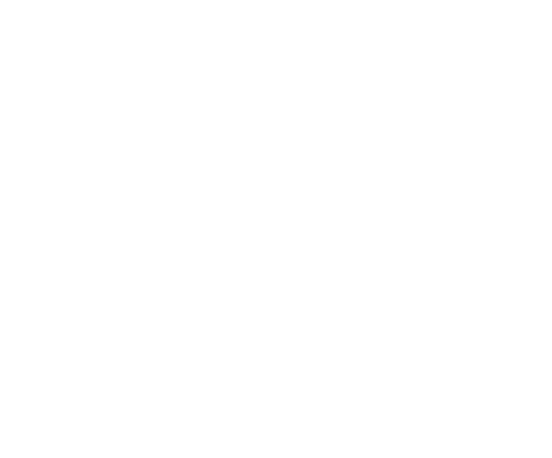 TICA Maine Coon kittens for sale