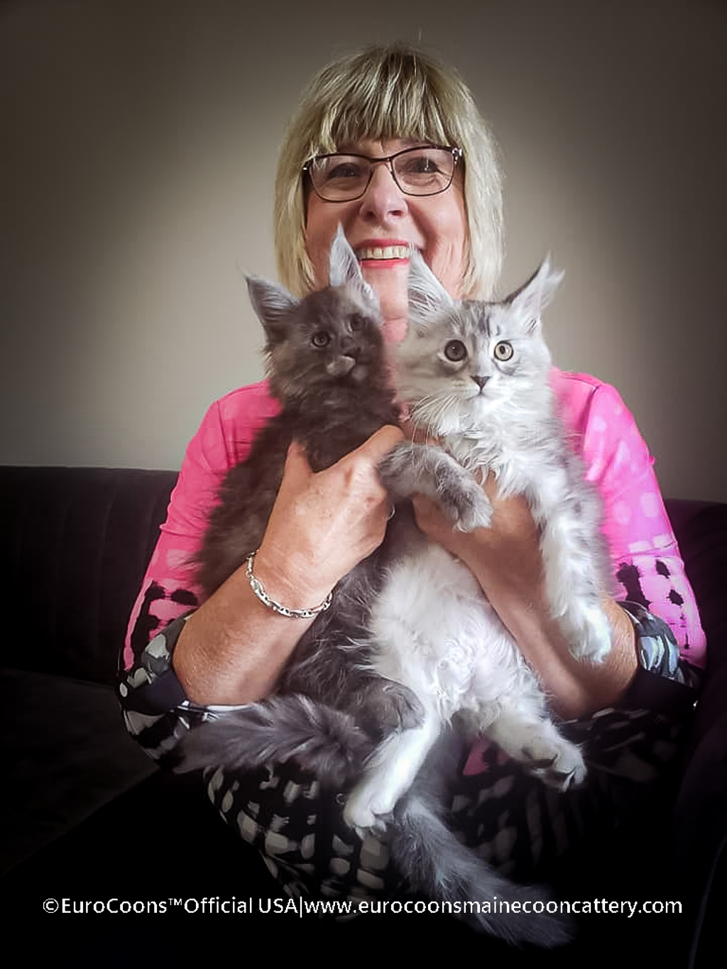 Buying a Maine Coon Cat?! The Best Way To Care For Your Maine Coon And How to Keep Your Maine Coon Kitten Happy