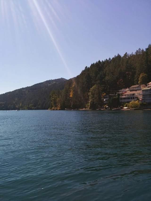 lake, paddleboard, kayak, outdooradventure, cultuslake, beautifulbc, travelbc