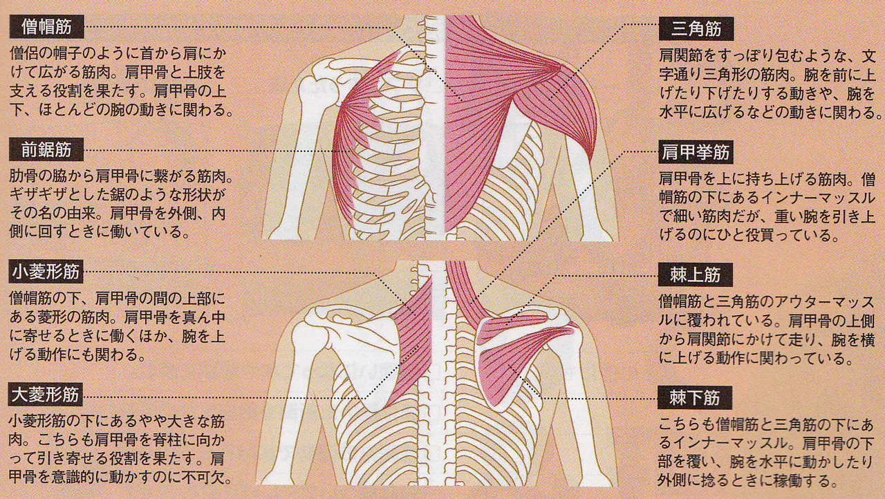 肩凝り 東武練馬 リラクゼーション 整体ボディケア 足裏フットケア ヘッドアイ ハンド レッグアロマ