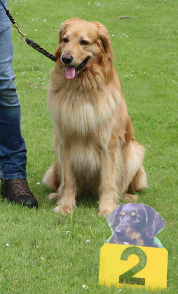 Booker Bleik vom Silberdistelwald