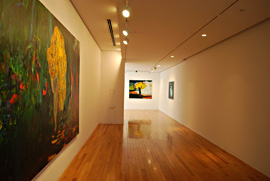 Installation view at  Tokyo Opera City Art Gallery,2009