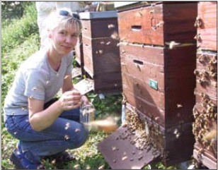 Sanftmütige Bienen