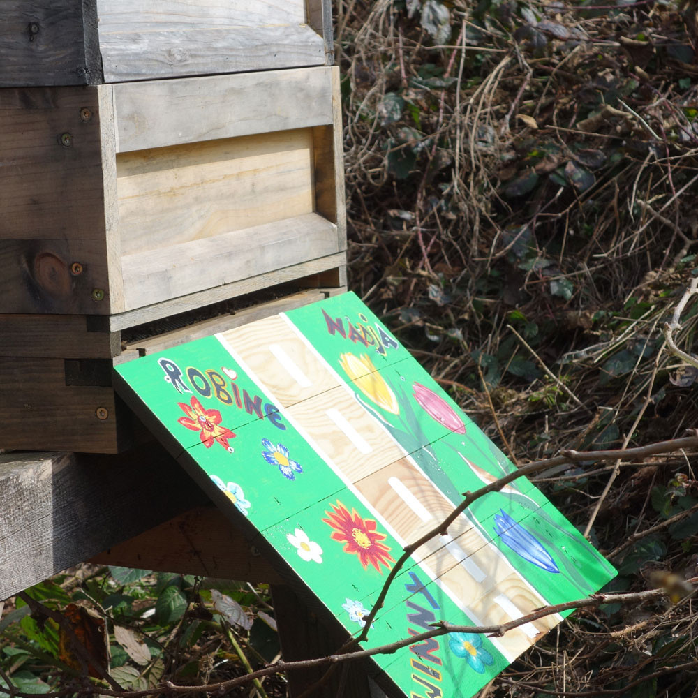 bienenvolk kaufen bienenpatenschaft bienenvolk ig biene patenschaften bienenvolk kaufen bienenpatenschaft bienenvolk ig biene patenschaften