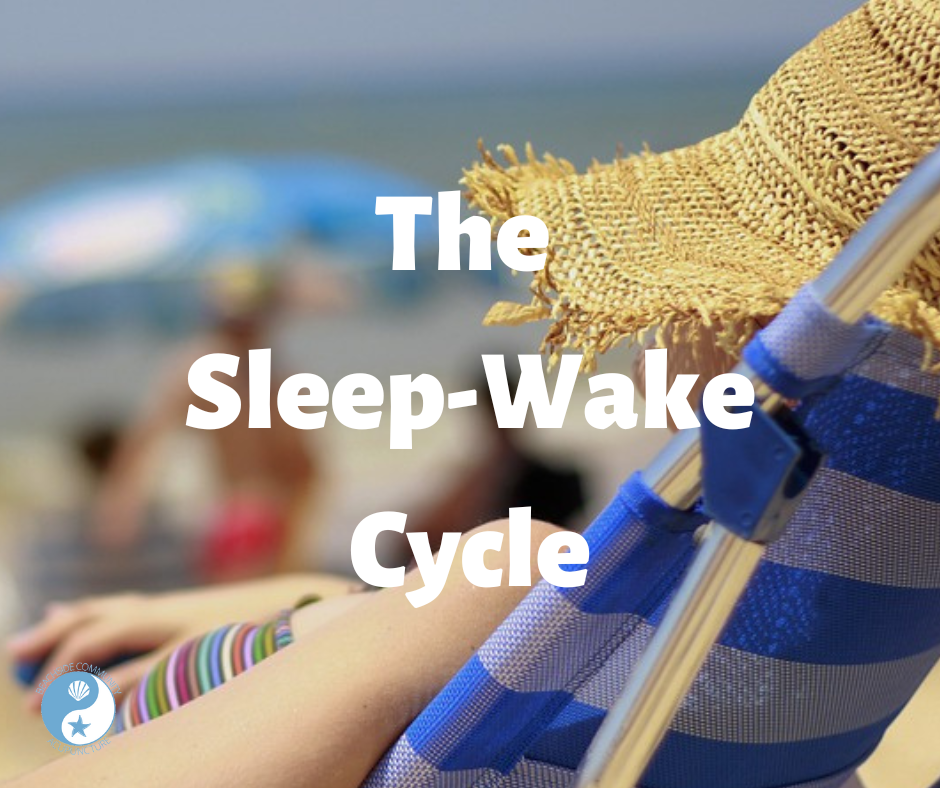 The Sleep-Wake Cycle
