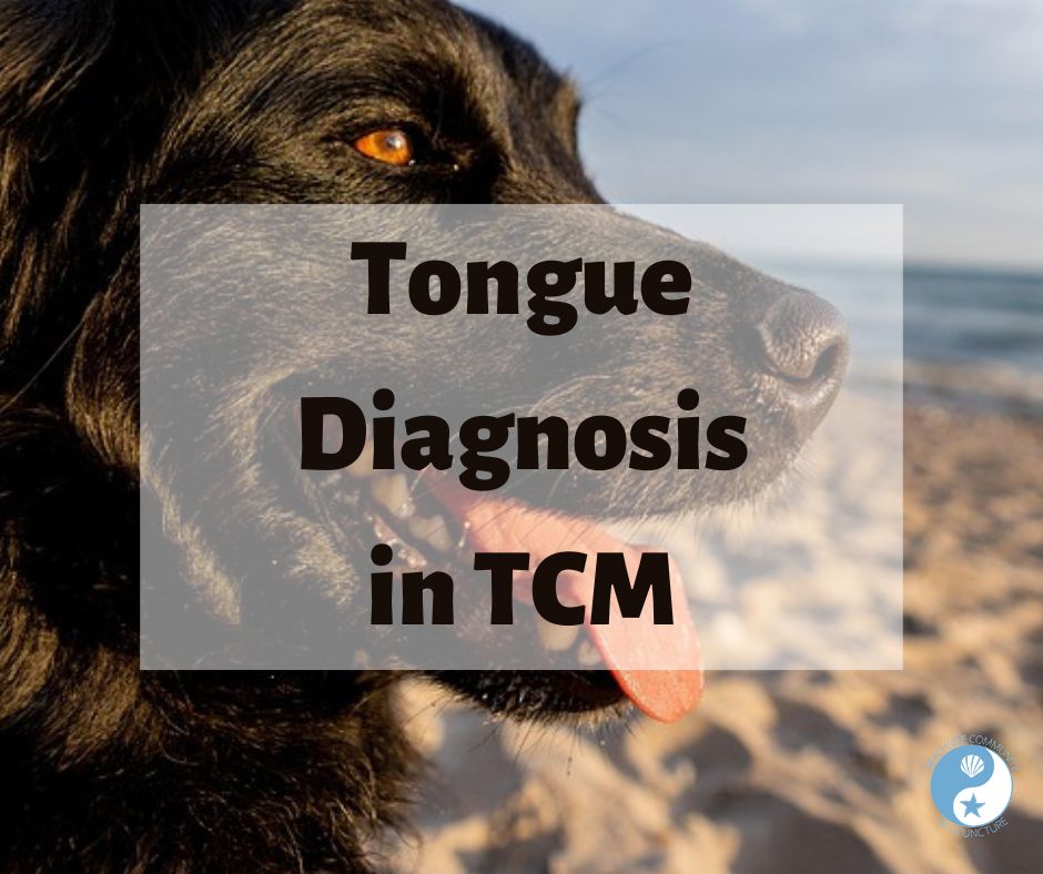 Tongue Diagnosis in TCM
