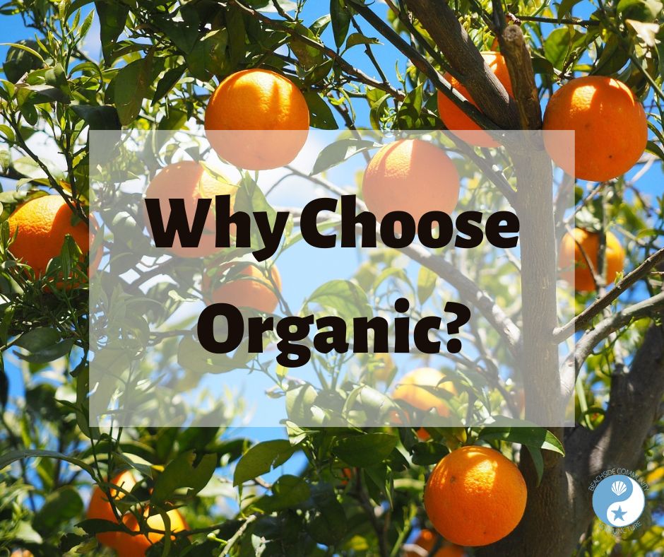 Why Choose Organic?