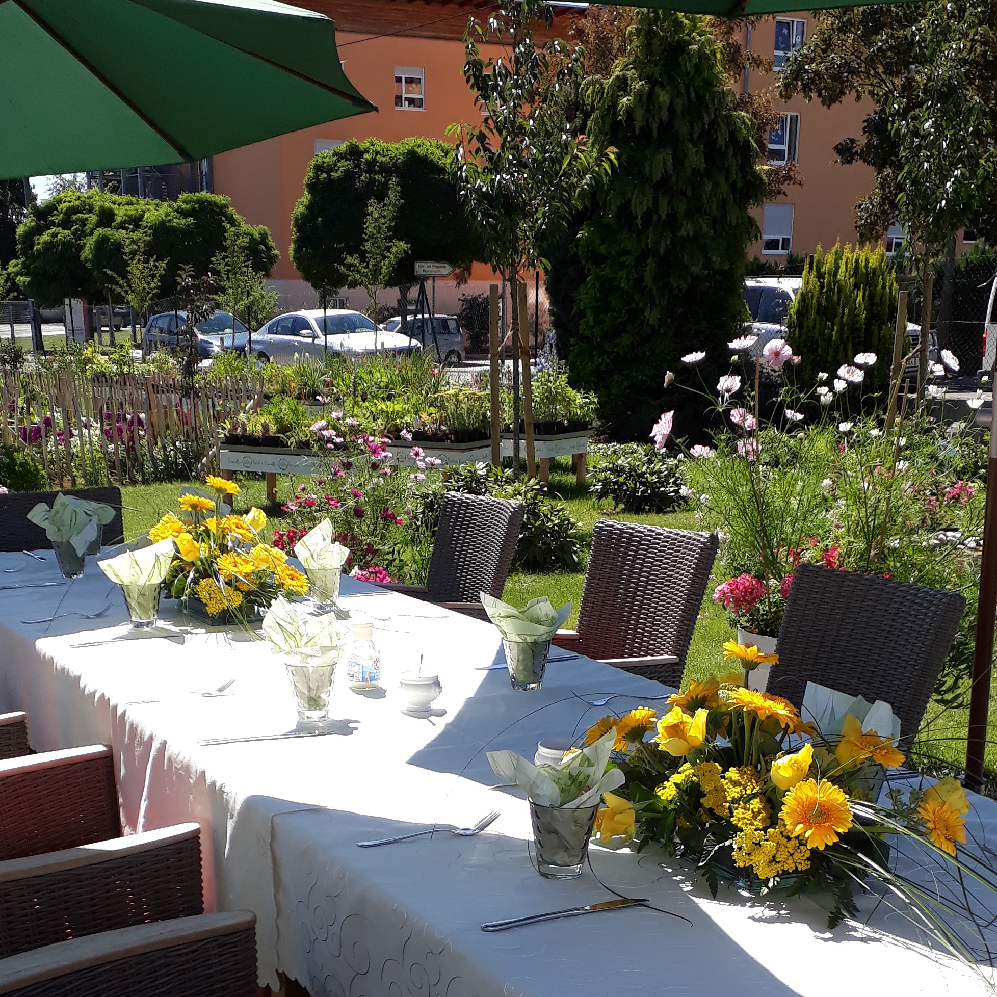 Den Garten genießen Cimiotti's Garten