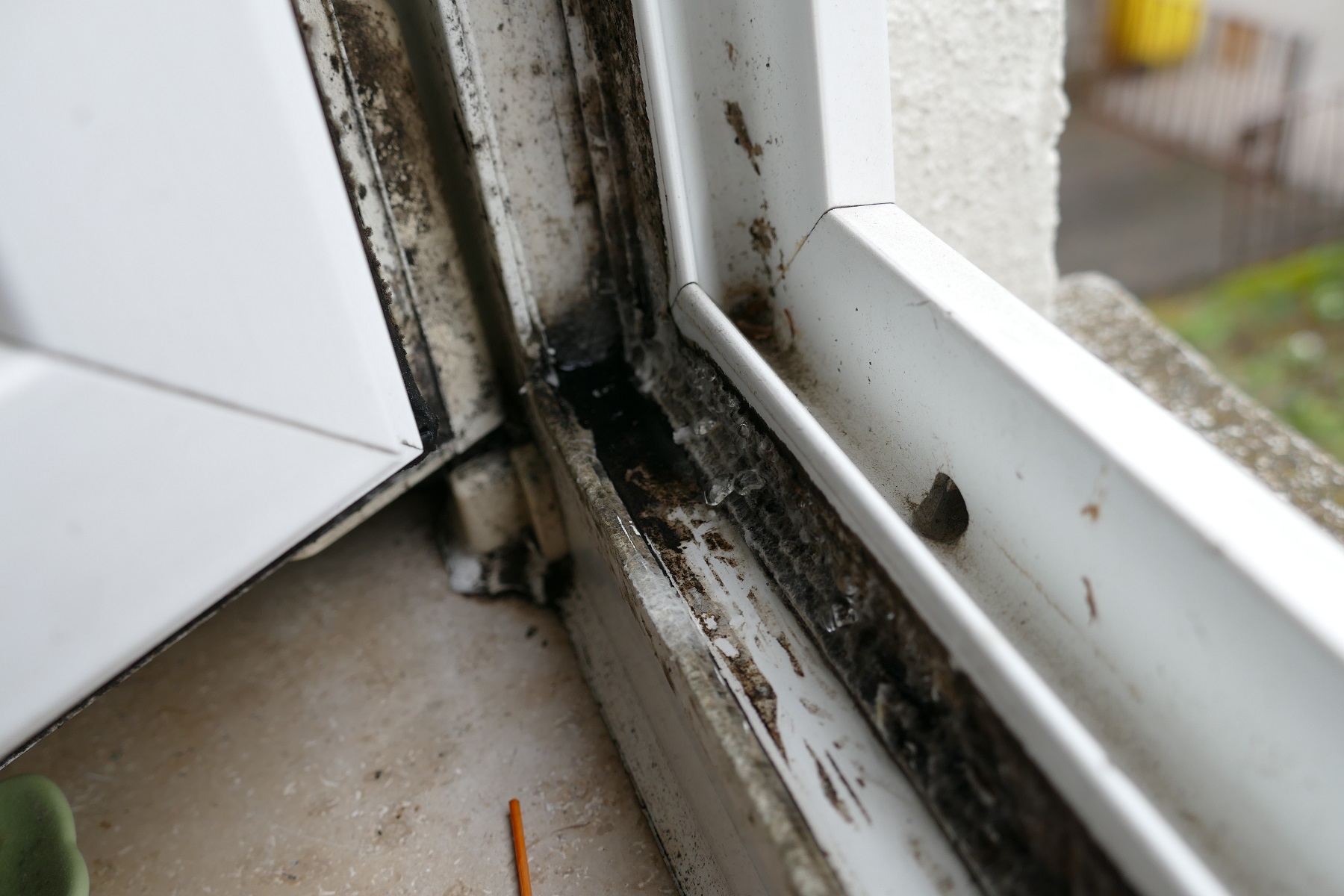 schimmel an einem fensterflugel www schimmelpilze online