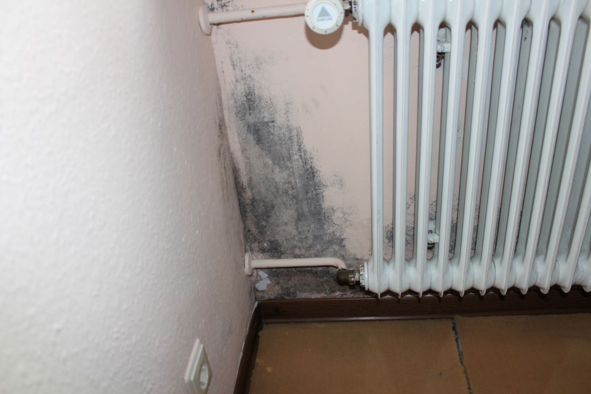 Schimmel in einer Wohnung an Fensterrahmen und Außenecken