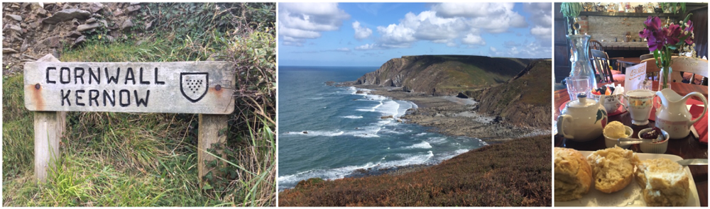 Die Grenze von Devon nach Cornwall | Landschaft pur | Cream Tea