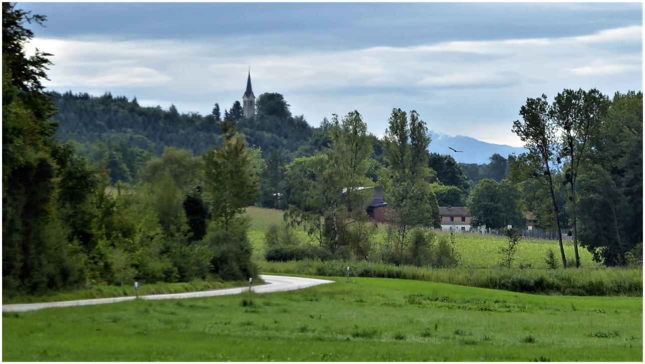 Blick bei Piusheim (Gemeinde Baiern) mit Blick auf die Alpen