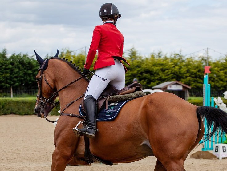 Tierpsychologin Beatrice Gröfke über Peitschen und Gerten im Reitsport