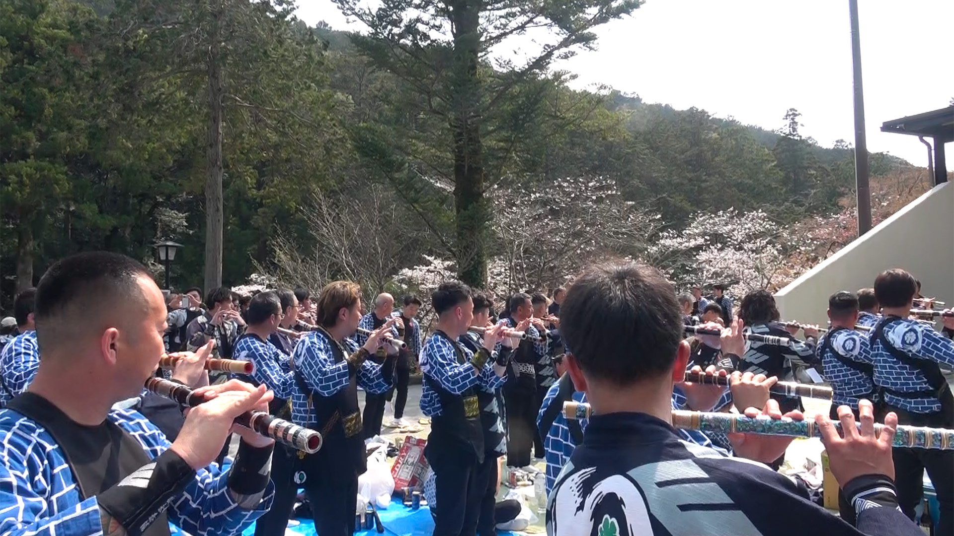 常磐会総本部お囃子披露「農兵節」全会員による合奏