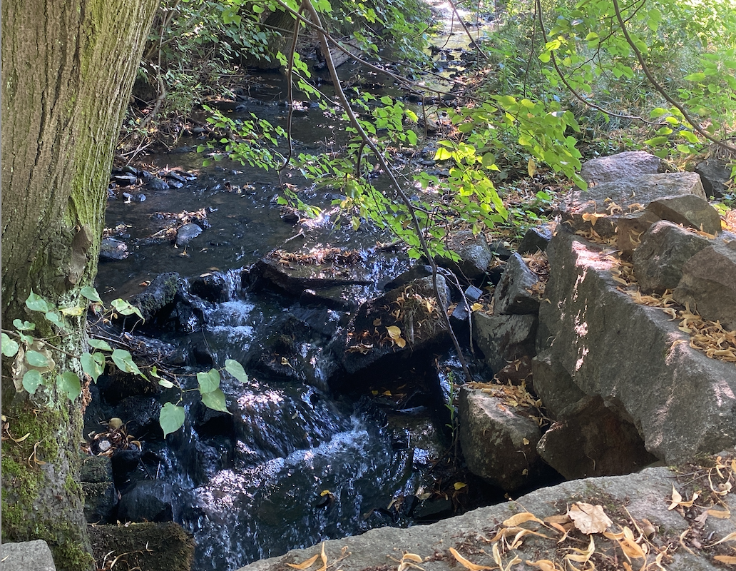 Kleine Wanderung für Romantiker entlang des Diehmener Wassers