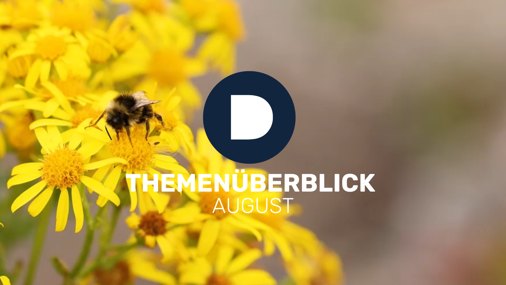 AUGUST BEI DEMUTH – ARBEITSRECHT FÜR ARBEITGEBER