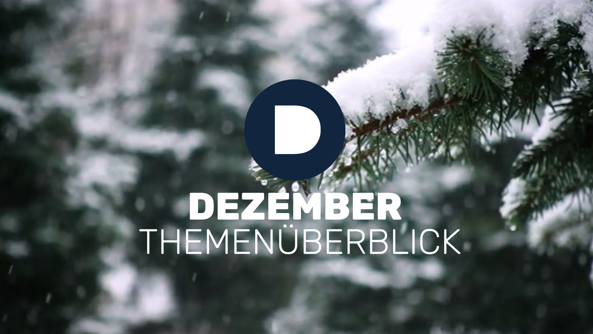 ARBEITSRECHT IM WANDEL: DIE WICHTIGSTEN THEMEN ZUM JAHRESENDE