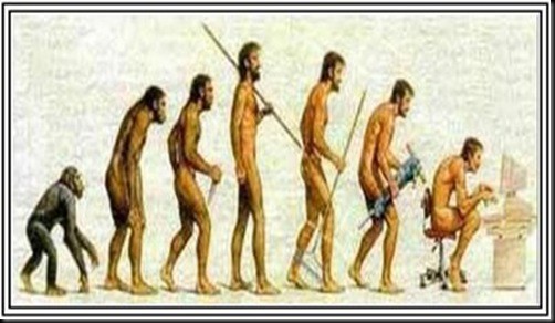 La evolución humana.