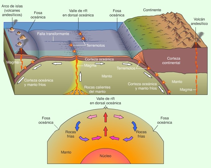 Esquema fundamental de la corteza oceánica y su relieve subamarino.