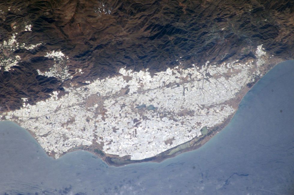 Campo de Dalias en Almería: expltación de invernaderos.